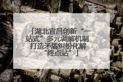 湖北宜昌创新“一站式”多元调解机制 打造矛盾纠纷化解“终点站”
