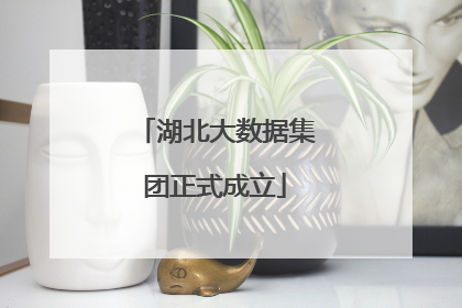 湖北大数据集团正式成立
