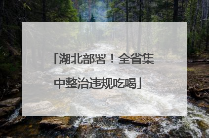 湖北部署！全省集中整治违规吃喝
