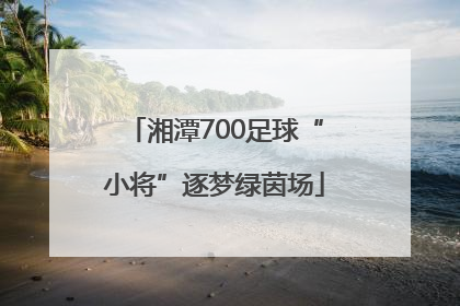 湘潭700足球“小将”逐梦绿茵场