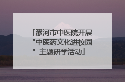 漯河市中医院开展“中医药文化进校园”主题研学活动