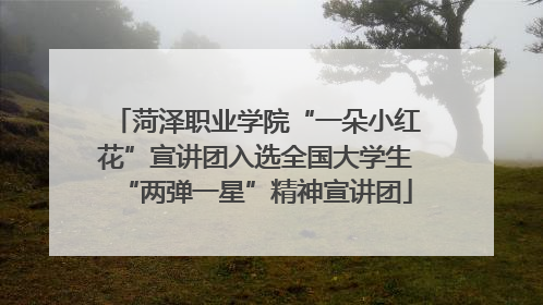 菏泽职业学院“一朵小红花”宣讲团入选全国大学生“两弹一星”精神宣讲团