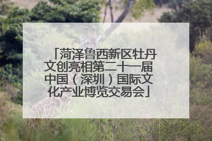 菏泽鲁西新区牡丹文创亮相第二十一届中国（深圳）国际文化产业博览交易会