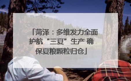 菏泽：多维发力全面护航“三夏”生产 确保夏粮颗粒归仓