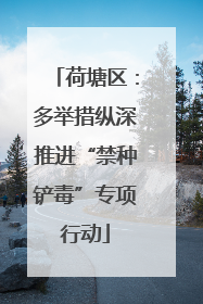 荷塘区：多举措纵深推进“禁种铲毒”专项行动