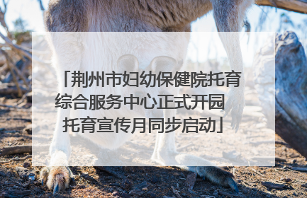 荆州市妇幼保健院托育综合服务中心正式开园 托育宣传月同步启动