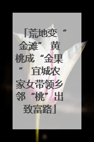 荒地变“金滩” 黄桃成“金果” 宜城农家女带领乡邻“桃”出致富路