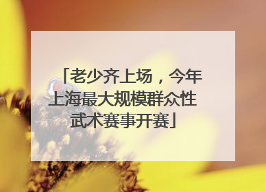 老少齐上场，今年上海最大规模群众性武术赛事开赛