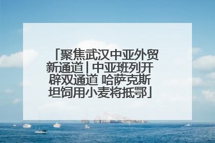 聚焦武汉中亚外贸新通道│中亚班列开辟双通道 哈萨克斯坦饲用小麦将抵鄂