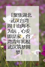 聚焦湖北·武汉台湾周丨山海不为远，心安即是家，台湾青年扎根武汉筑梦圆梦