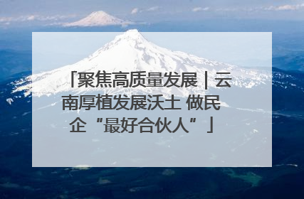 聚焦高质量发展｜云南厚植发展沃土 做民企“最好合伙人”