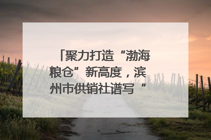 聚力打造“渤海粮仓”新高度，滨州市供销社谱写“三夏”丰收乐章