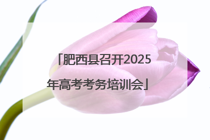 肥西县召开2025年高考考务培训会