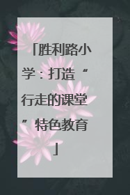 胜利路小学：打造“行走的课堂”特色教育