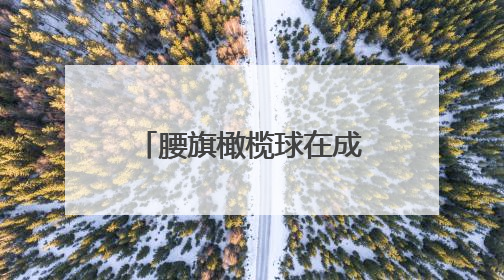 腰旗橄榄球在成都火了：爱好者蹲点抢世运会门票，俱乐部把成都地名写进战术暗语