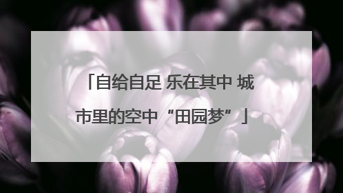 自给自足 乐在其中 城市里的空中“田园梦”
