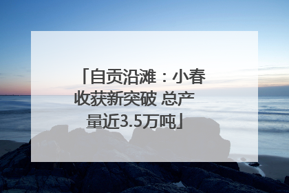 自贡沿滩：小春收获新突破 总产量近3.5万吨