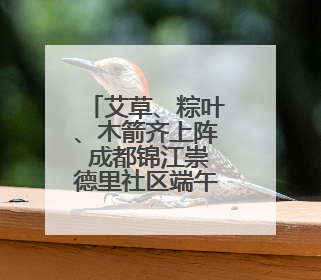 艾草、粽叶、木箭齐上阵 成都锦江崇德里社区端午节主题文化活动举行