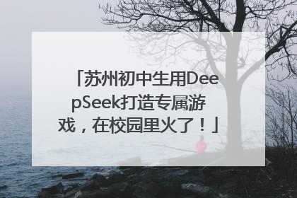 苏州初中生用DeepSeek打造专属游戏，在校园里火了！