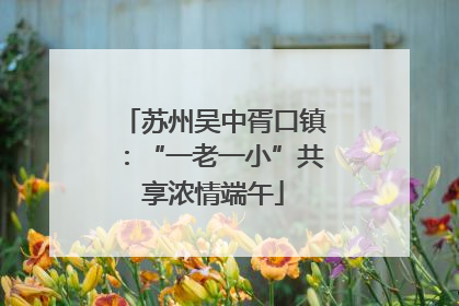苏州吴中胥口镇：“一老一小”共享浓情端午