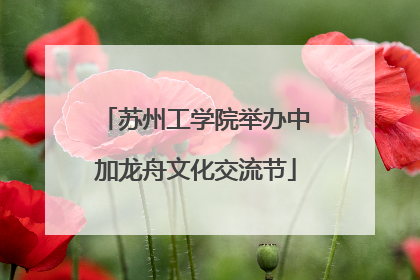 苏州工学院举办中加龙舟文化交流节