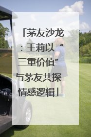 茅友沙龙：王莉以“三重价值”与茅友共探情感逻辑