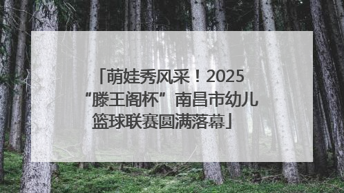 萌娃秀风采！2025“滕王阁杯”南昌市幼儿篮球联赛圆满落幕
