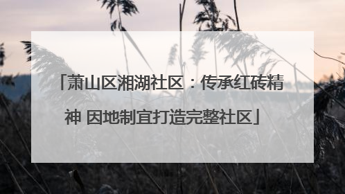 萧山区湘湖社区：传承红砖精神 因地制宜打造完整社区