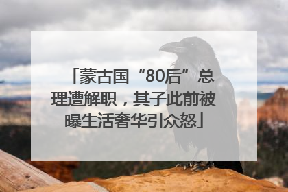 蒙古国“80后”总理遭解职，其子此前被曝生活奢华引众怒