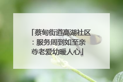 蔡甸街道高湖社区：服务周到如至亲 尊老爱幼暖人心