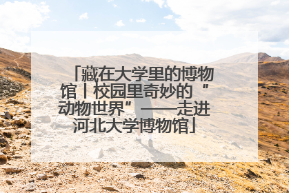 藏在大学里的博物馆丨校园里奇妙的“动物世界”——走进河北大学博物馆