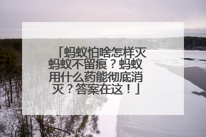 蚂蚁怕啥怎样灭蚂蚁不留痕？蚂蚁用什么药能彻底消灭？答案在这！