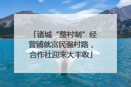 诸城“整村制”经营铺就富民强村路，合作社迎来大丰收