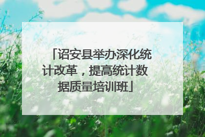 诏安县举办深化统计改革，提高统计数据质量培训班