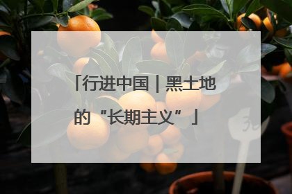 行进中国｜黑土地的“长期主义”