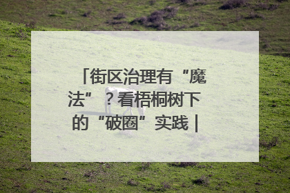 街区治理有“魔法”？看梧桐树下的“破圈”实践｜我在街区当书记