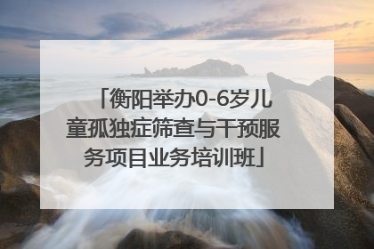 衡阳举办0-6岁儿童孤独症筛查与干预服务项目业务培训班