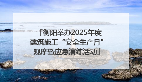衡阳举办2025年度建筑施工“安全生产月”观摩暨应急演练活动