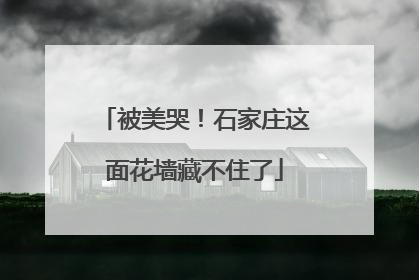 被美哭！石家庄这面花墙藏不住了