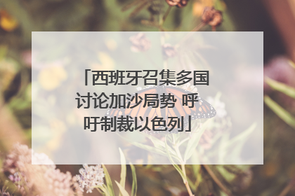 西班牙召集多国讨论加沙局势 呼吁制裁以色列