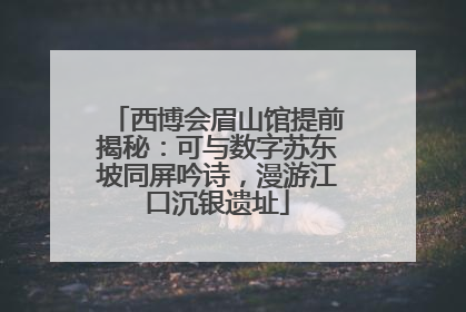 西博会眉山馆提前揭秘：可与数字苏东坡同屏吟诗，漫游江口沉银遗址