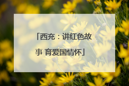 西充：讲红色故事 育爱国情怀