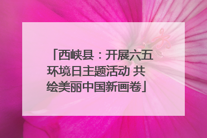 西峡县：开展六五环境日主题活动 共绘美丽中国新画卷