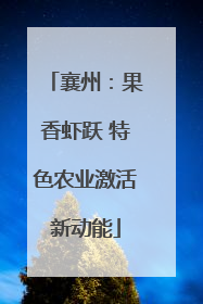 襄州：果香虾跃 特色农业激活新动能