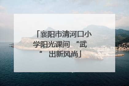 襄阳市清河口小学阳光课间 “武” 出新风尚