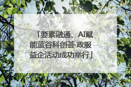 要素融通、AI赋能蓝谷科创荟·政服益企活动成功举行