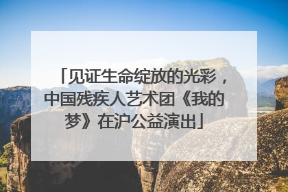 见证生命绽放的光彩，中国残疾人艺术团《我的梦》在沪公益演出