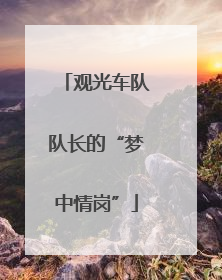 观光车队队长的“梦中情岗”