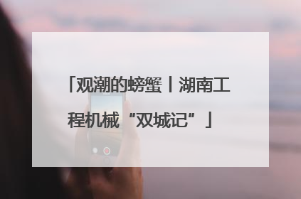 观潮的螃蟹丨湖南工程机械“双城记”