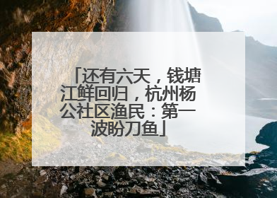 还有六天，钱塘江鲜回归，杭州杨公社区渔民：第一波盼刀鱼